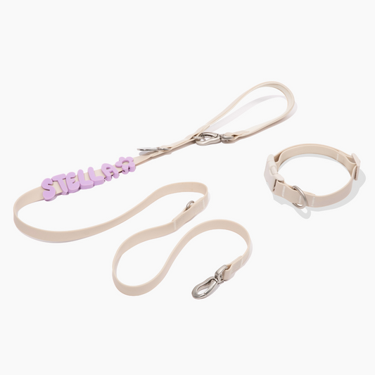 Charms intercambiáveis para coleira de cão