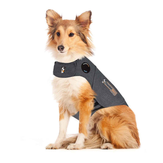 Colete anti-ansiedade para cães tipo ThunderShirt